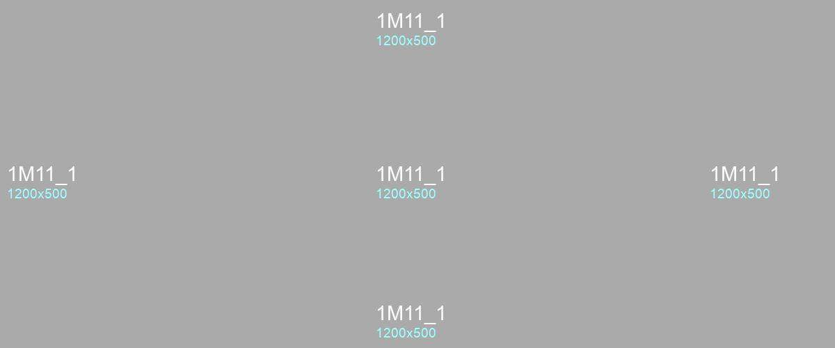 1M11_1